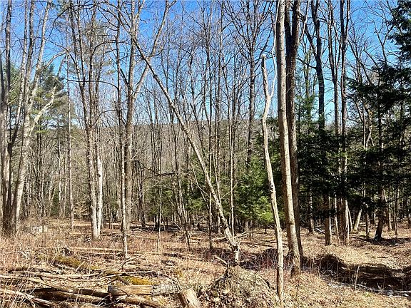 4th image of Chlorinator Rd Lot 31