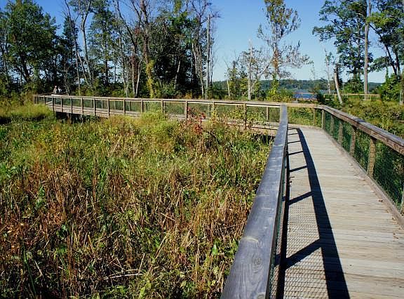 Park Boardwalk View