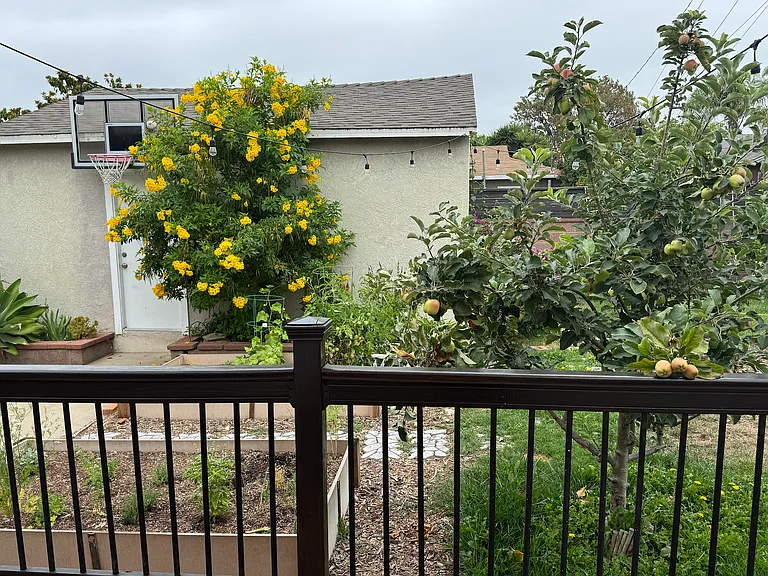 4862 Oliva Ave — Photo 11