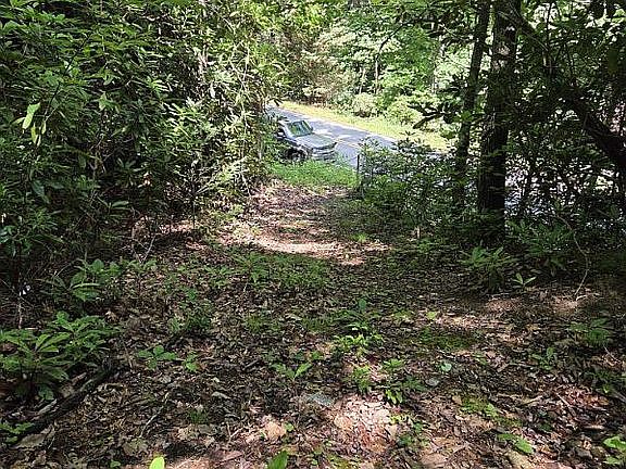 3rd image of LOT 1 Holiday Dr