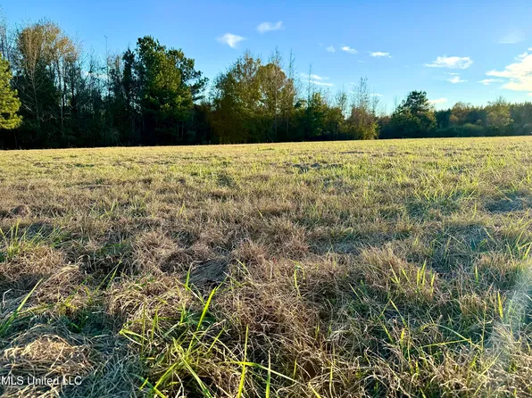 0 Highway 513, Enterprise, MS 39330