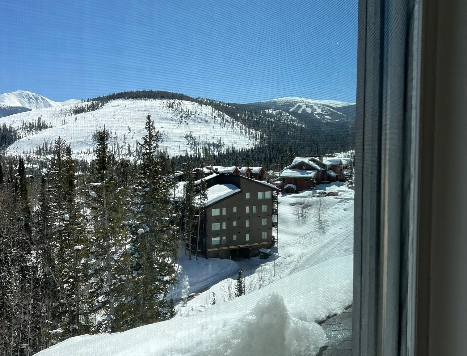 417 Bear Trl — Photo 4