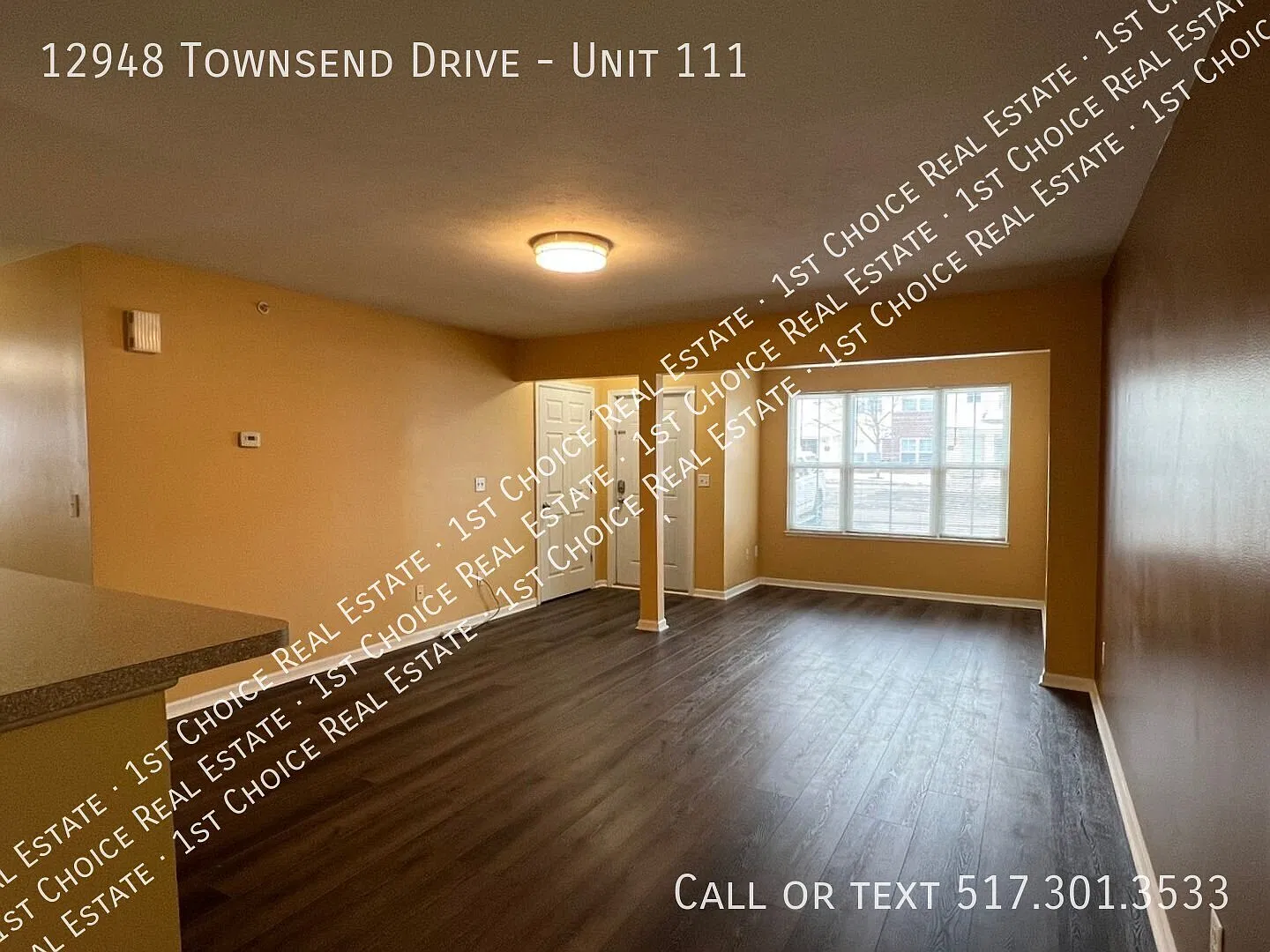 3-Bdr 2-Bath Condo In Grand Ledge - Cat Friendly — Photo 3