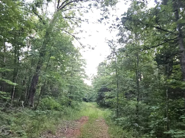 9 Tomahawk Slab Rd, Saint Joe, AR 72675