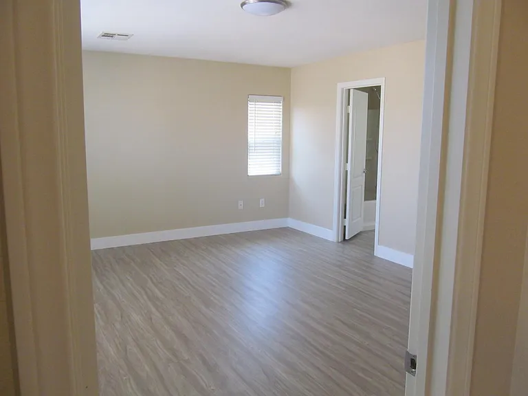 3336 Popcorn Flower St — Photo 21