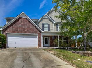 48 Rustyred Ct, Chapin, SC 29036