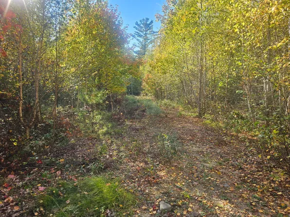 154 Lower Road LOT 35, Deblois, ME 04622