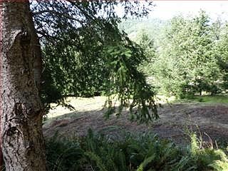 2nd image of 17 Albatross Rd