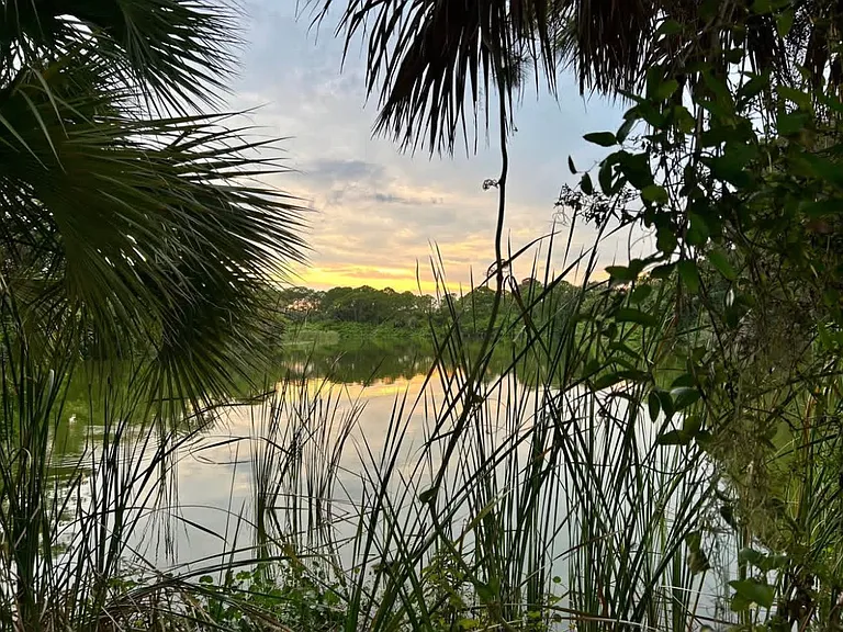 Lake Dr — Photo 9