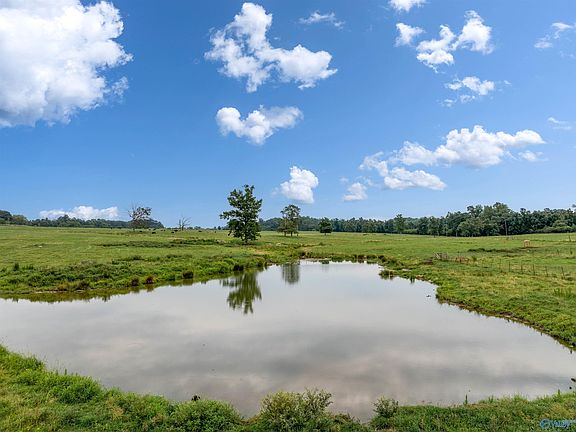 2nd image of County Road 538