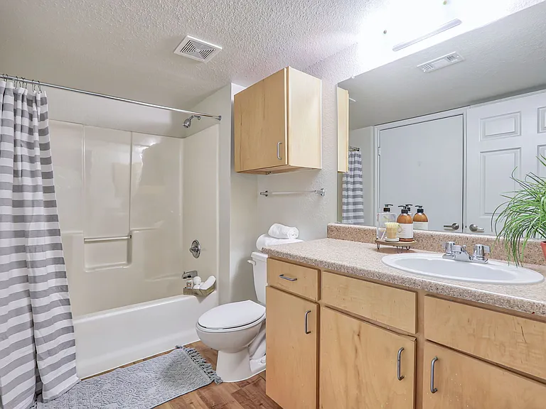 Mariposa Cedar Park 55+ Apartment Homes — Photo 16