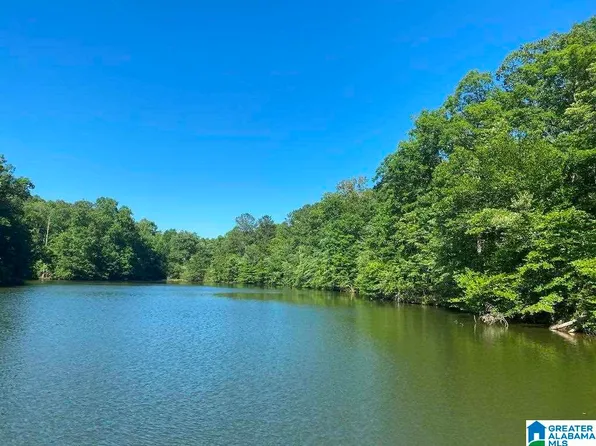 County Road 99, Wedowee, AL 36278