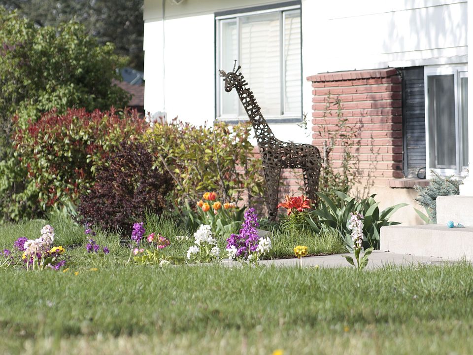 Mature Spring/Summer Foliage