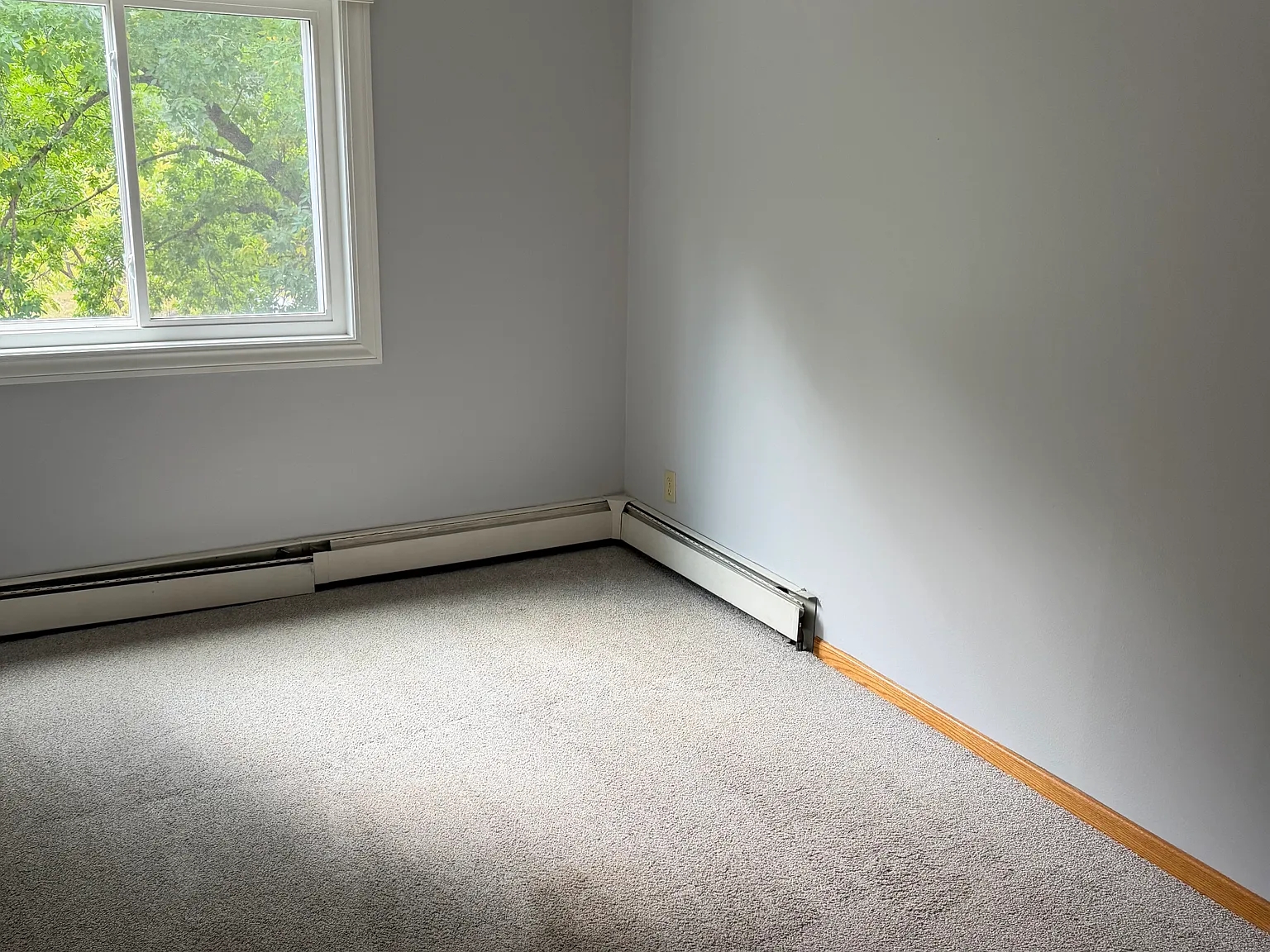 1 bed, 650 sqft, $1,250 — Photo 4