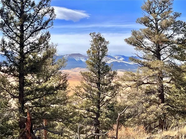 2675 Middle Fork Vis #198, Fairplay, CO 80440