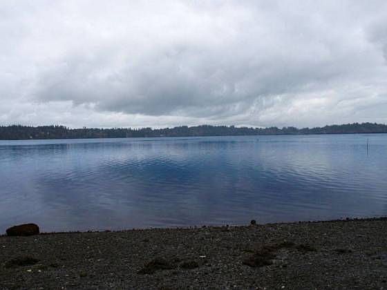 1st image of 5130 78th Ave NW