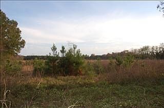 2nd image of 2000 Congaree Rd