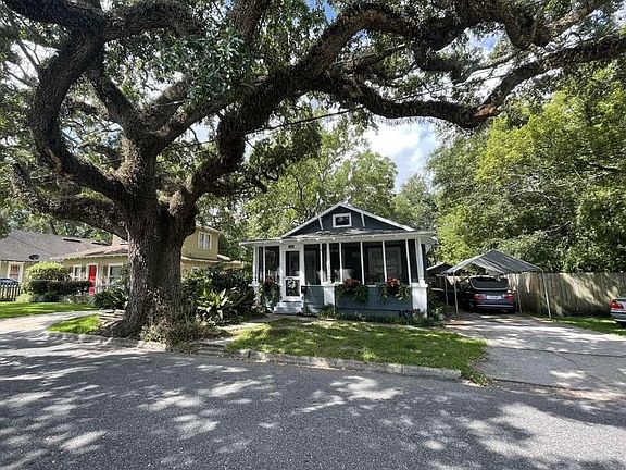 Gorgeous old tree provides shade to porch and pretty buds after rainfall