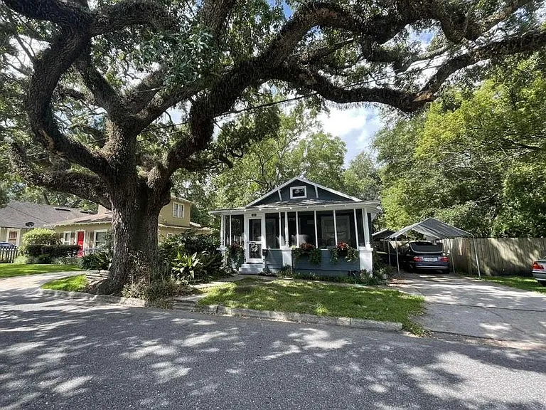 Gorgeous old tree provides shade to porch and pretty buds after rainfall