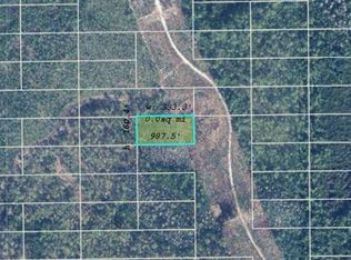 Dill Rd LOT 620, Orlando, FL 32820