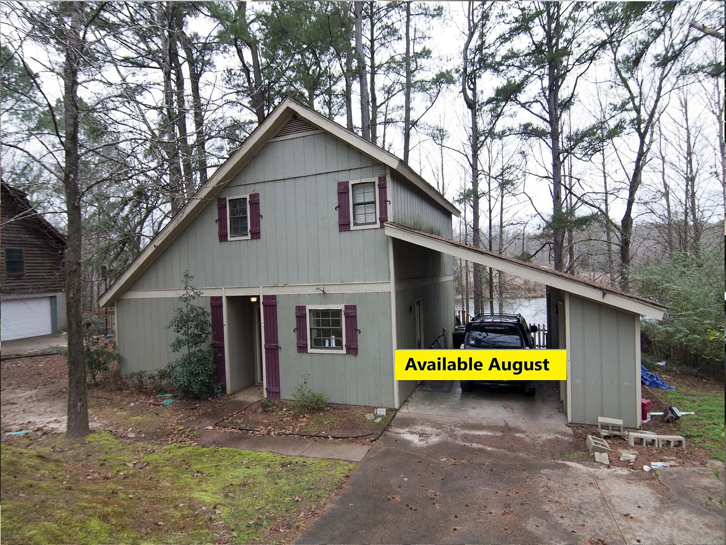 Whippoorwill — Photo 1