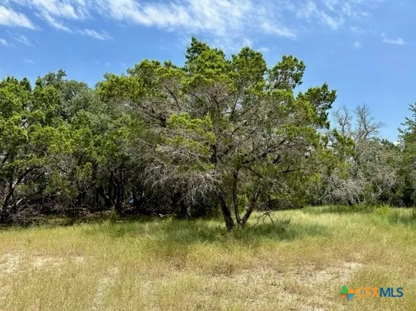 118 Water Oak Ln, Canyon Lake, TX 78133