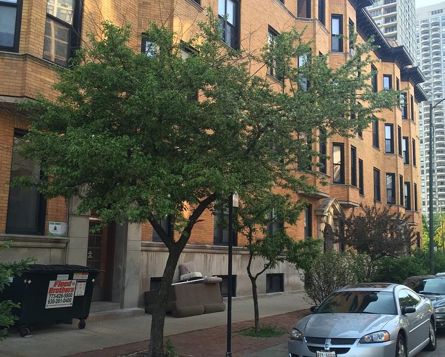 1st image of 1906 N Lincoln Park W APT 4N