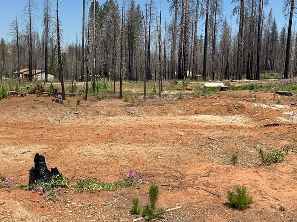 5227 Wooded Glen Rd, Grizzly Flats, CA 95636