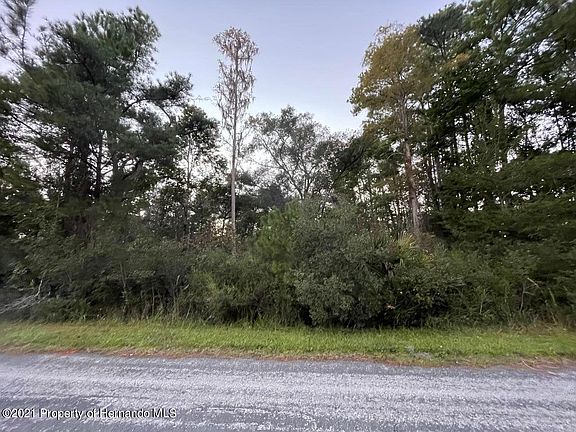 2nd image of 9622 N Cavewood Ave