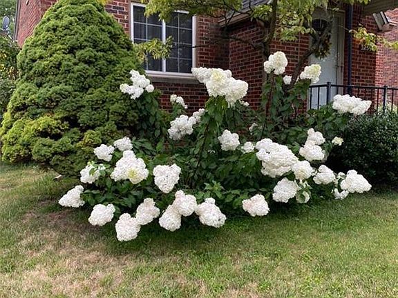 5th image of 3259 Wendover Dr