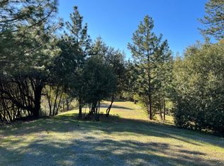 10061 Fig Tree Ln, Pine Grove, CA 95665