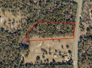 NW 145th Ave LOT 20, Williston, FL 32696