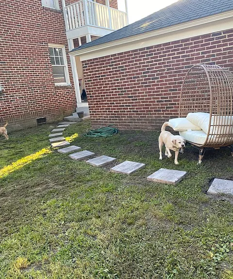 Balcony overlooking back yard. Stones lead to lane for ease of access.