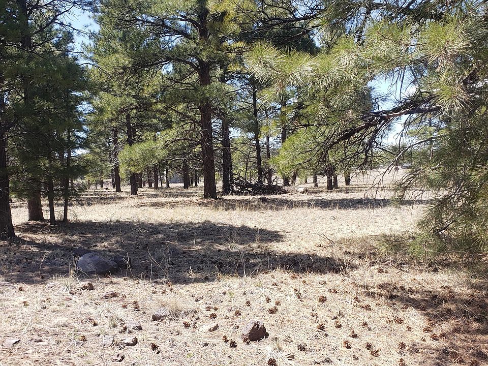 2nd image of 2801 Country Club Rd #4