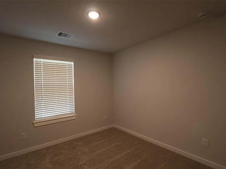 8510 Blueberry Ash St — Photo 9