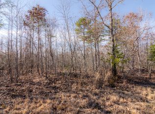 0 Big Bluff Vw LOT 198, Pikeville, TN 37367