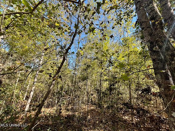 4th image of Mason Creek Rd