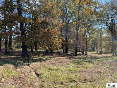 385 Ashley Griggs Rd, Calhoun, LA, 71225