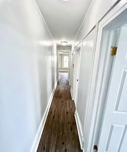492 Park Ave #16 — Photo 3