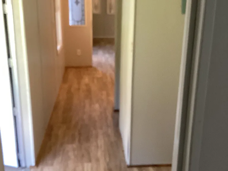 117 Cothran Rd — Photo 6