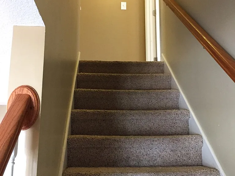 104 Runnymeade Dr — Photo 16