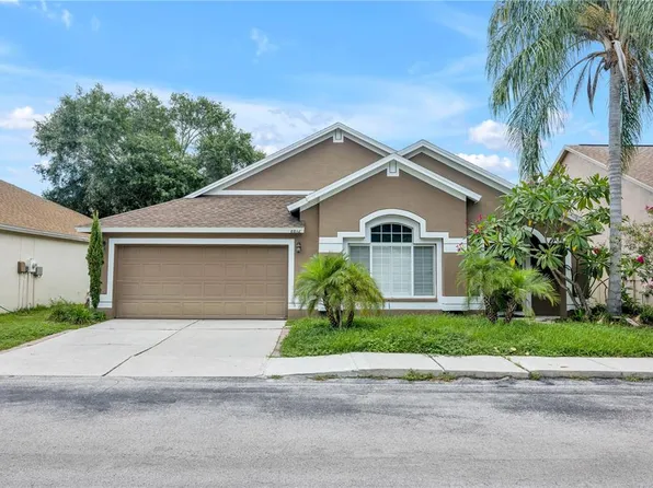 8812 Cypress Hammock Dr, Tampa, FL 33614
