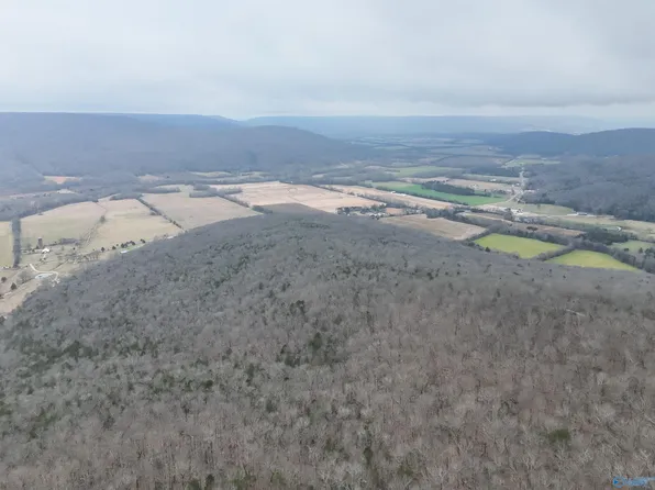 County Road 65, Paint Rock, AL 35764