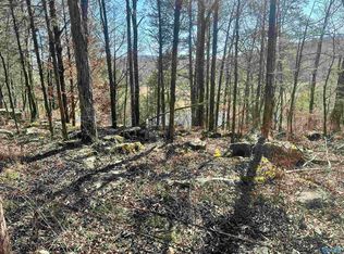 Cathedral Caverns Hwy, Woodville, AL 35776