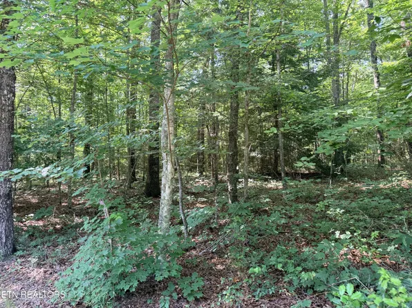 390 Georgee Rd Lot 78, Jamestown, TN 38556