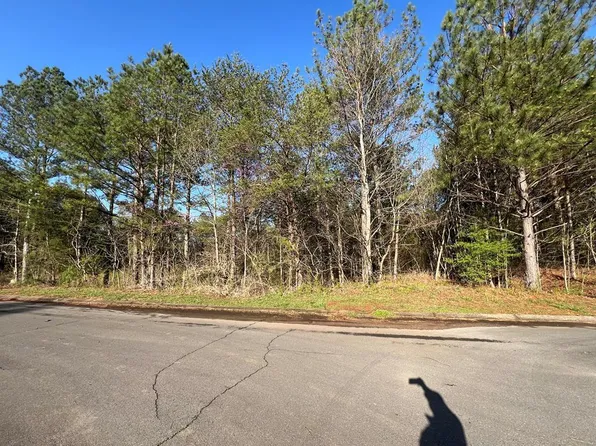 61 Piedmont Dr, Chatsworth, GA 30705