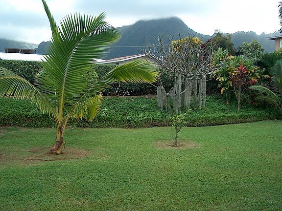 View of Ko'olau Mountains from Back Yard