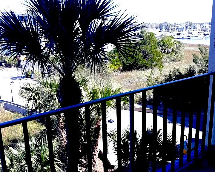 1 Marina Dr #303B — Photo 4