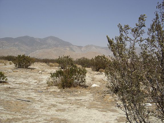 In the Path of Growth.