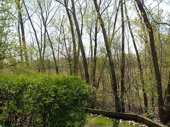 View from patio